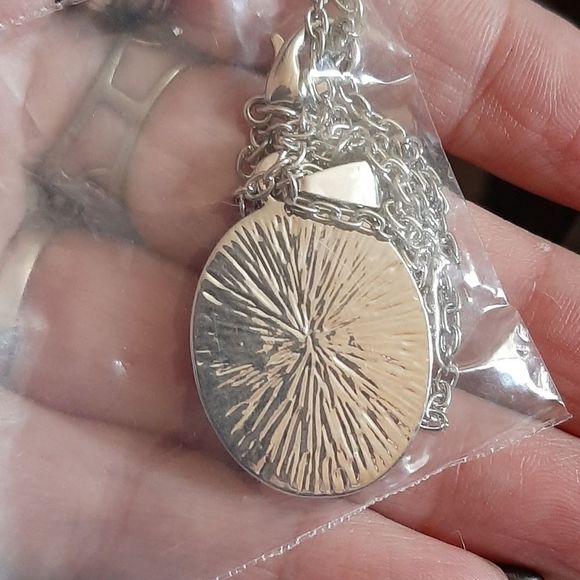 Silver titanium virgin mother Mary crystal medallion necklace new - Picture 3 of 3